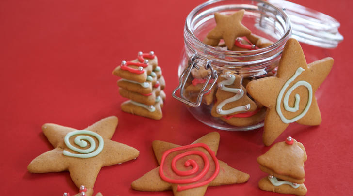 DIY-Xmas-gift-ideas-Honey-Xmas-biscuits-728x405