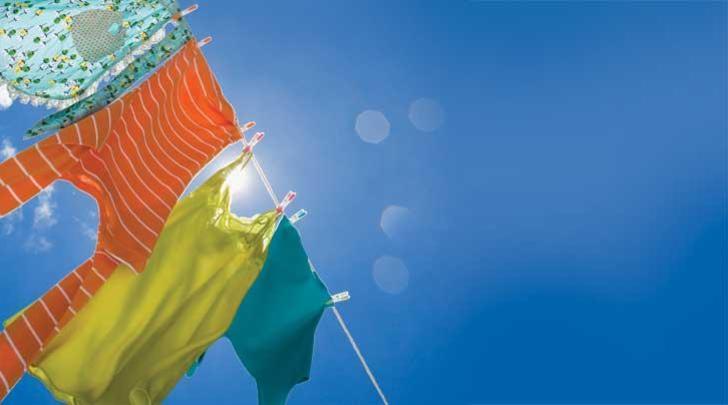 Do-green-laundry-powders-scrub-up-728x404