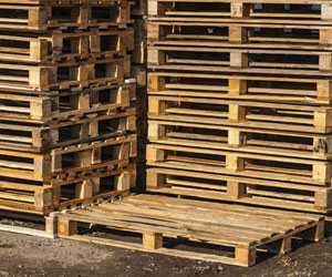 GI-11-Make-a-bed-base-from-pellets-Step-1-300x250