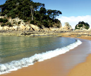 GI-13-How-clean-is-your-beach-Kaiteriteri-300x250