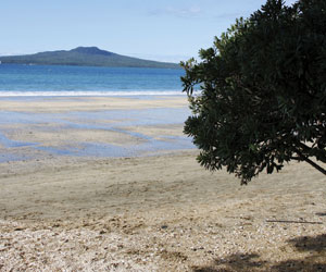 GI-13-How-clean-is-your-beach-Okahu-Bay-300x250