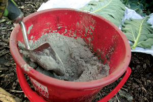 GI-13-Make-a-leaf-bird-bath-5-300x200