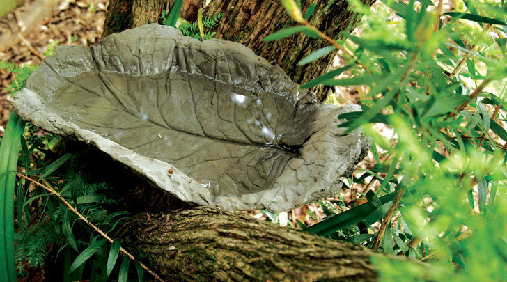 GI-13-Make-a-leaf-bird-bath-728x405