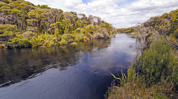 GI-17-Green-makeover-for-Stewart-Island