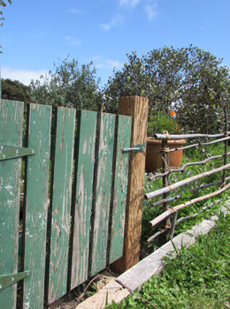 House-2-fence-260x350