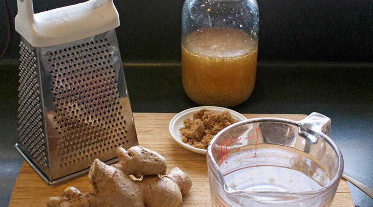How-to-grow-a-ginger-bug-728x405