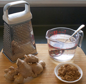 How-to-grow-a-ginger-bug-Step-1-300w