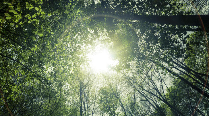 iStock_000065308639_Medium