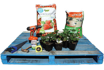 Turn-a-crummy-pallet-into-a-clever-herb-garden-Step-1-400x270-GI01