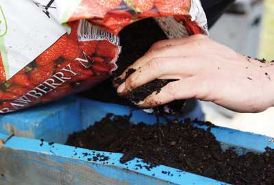 Turn-a-crummy-pallet-into-a-clever-herb-garden-Step-5-400x270-GI01