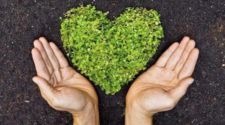 GI-9-Kiwi-couples-$100m-gift-to-transform-environment-700x400